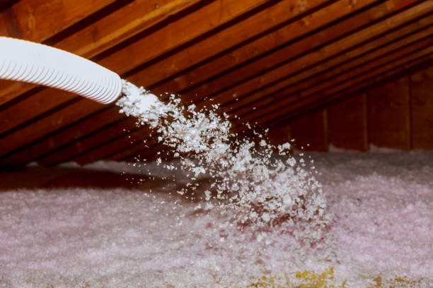 Best Types of Insulation in Cotulla, TX