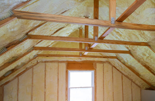 Best Types of Insulation in Cotulla, TX