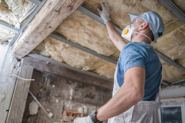 Best Insulation Installation Services in Cotulla, TX